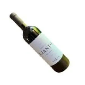 Studio image of Primitivo wine bottle shot u2013 Italian red wine u2013 buy Primitivo wine online in the UK