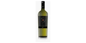 Studio image of Campania wine bottle shot u2013 Italian white wine u2013 buy Campania wine online in the UK