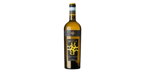 Studio image of Pinot Grigio Veneto wine bottle shot u2013 Italian wine u2013 buy Pinot Grigio Veneto wine online in the UK