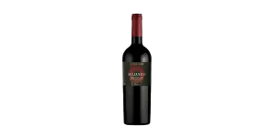 Studio image of Aglianico wine bottle shot u2013 Italian red wine u2013 buy Aglianico wine online in the UK u2013 premium Italian wine selection online