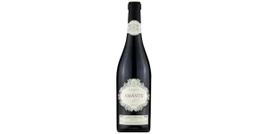 Studio image of Sangiovese Veneto wine bottle shot u2013 Italian red wine u2013 buy Sangiovese Veneto wine online in the UK