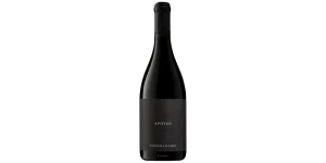 Studio image of Abruzzo wine bottle shot u2013 Italian red wine u2013 buy Abruzzo wine online in the UK u2013 premium Italian wine selection online