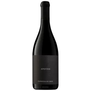 Studio image of Abruzzo wine bottle shot u2013 Italian red wine u2013 buy Abruzzo wine online in the UK u2013 premium Italian wine selection online