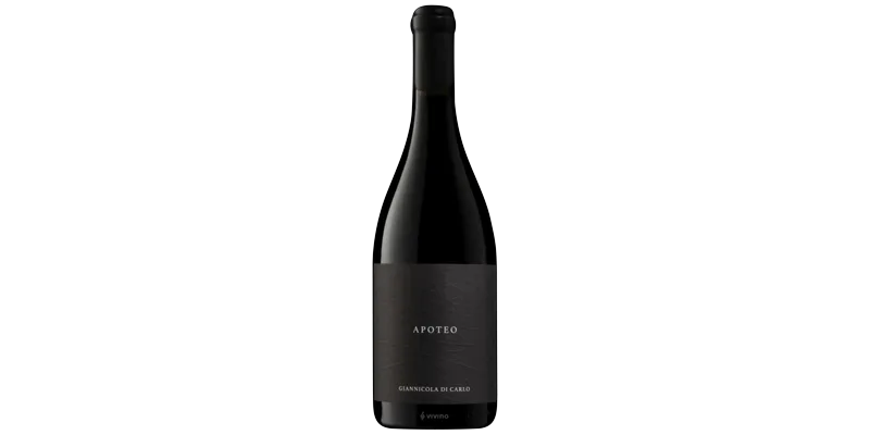 Studio image of Abruzzo wine bottle shot u2013 Italian red wine u2013 buy Abruzzo wine online in the UK u2013 premium Italian wine selection online
