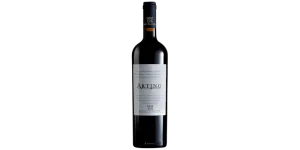 Studio image of Calabrian Italian Red Wine bottle shot u2013 Italian red wine u2013 buy Calabrian Italian Red Wine online in the UK