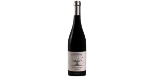 Studio image of Barbera Piemonte wine bottle shot u2013 Italian red wine u2013 buy Barbera Piemonte wine online in the UK