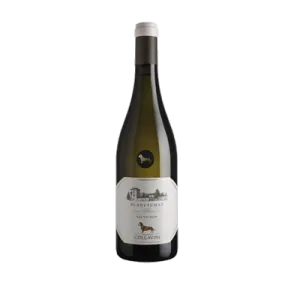 Studio image of Friuli-Venezia Giulia wine bottle shot u2013 Italian white wine u2013 buy Friuli-Venezia Giulia wine online in the UK u2013 premium Italian wine seu2026
