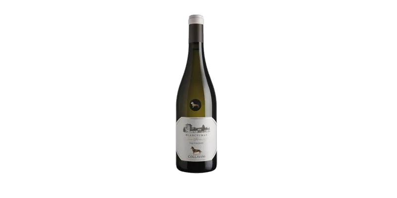 Studio image of Friuli-Venezia Giulia wine bottle shot u2013 Italian white wine u2013 buy Friuli-Venezia Giulia wine online in the UK u2013 premium Italian wine seu2026