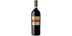 Studio image of Campania wine bottle shot u2013 Italian red wine u2013 buy Campania wine online in the UK