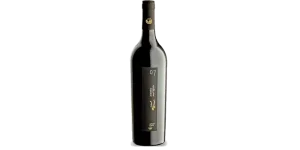 Studio image of Aglianico Campania wine bottle shot u2013 Italian red wine u2013 buy Aglianico Campania wine online in the UK