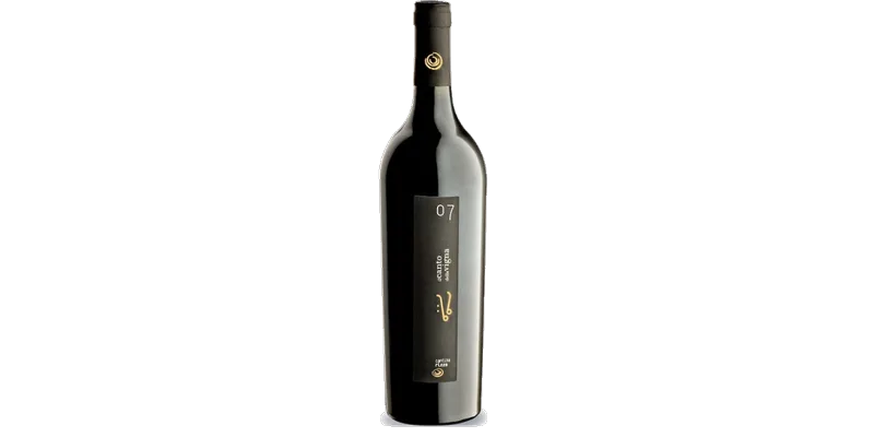 Studio image of Aglianico Campania wine bottle shot u2013 Italian red wine u2013 buy Aglianico Campania wine online in the UK