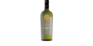 Studio image of Campania wine bottle shot u2013 Italian white wine u2013 buy Campania wine online in the UK