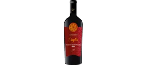 Studio image of Aglianico Campania wine bottle shot u2013 Italian red wine u2013 buy Aglianico Campania wine online in the UK u2013 buy Italian wine online