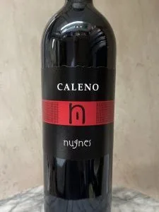 Studio image of Campania wine bottle shot u2013 Italian red wine u2013 buy Campania wine online in the UK u2013 buy Italian wine online