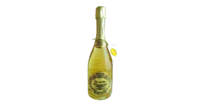 Studio image of Veneto wine bottle shot u2013 Italian sparkling wine u2013 buy Veneto wine online in the UK u2013 premium Italian wine selection online