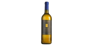 Studio image of Albana wine bottle shot u2013 Italian wine u2013 buy Albana wine online in the UK
