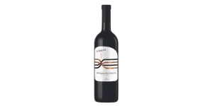 Studio image of Abruzzo wine bottle shot u2013 Italian wine u2013 buy Abruzzo wine online in the UK u2013 order Italian wine with UK delivery