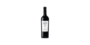 Studio image of Abruzzo wine bottle shot u2013 Italian red wine u2013 buy Abruzzo wine online in the UK
