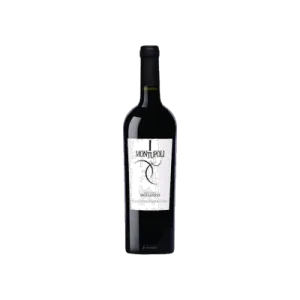 Studio image of Abruzzo wine bottle shot u2013 Italian red wine u2013 buy Abruzzo wine online in the UK