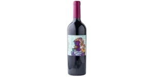 Studio image of Friuli-Venezia Giulia wine bottle shot u2013 Italian red wine u2013 buy Friuli-Venezia Giulia wine online in the UK u2013 buy Italian wine online