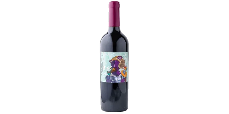 Studio image of Friuli-Venezia Giulia wine bottle shot u2013 Italian red wine u2013 buy Friuli-Venezia Giulia wine online in the UK u2013 buy Italian wine online