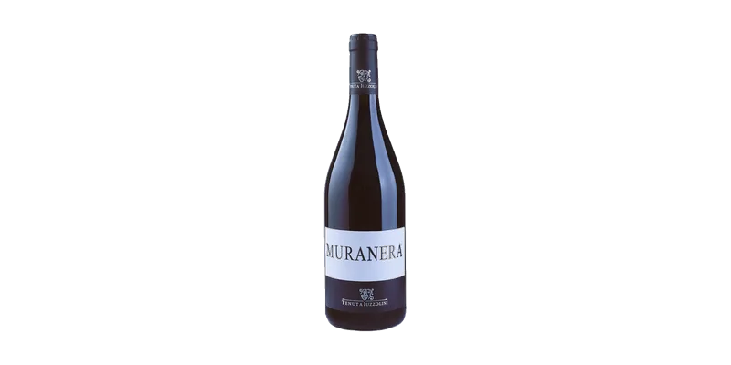 Studio image of Toscana wine bottle shot u2013 Italian red wine u2013 buy Toscana wine online in the UK