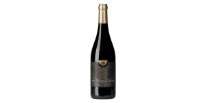 Studio image of Abruzzo wine bottle shot u2013 Italian red wine u2013 buy Abruzzo wine online in the UK u2013 premium Italian wine selection online