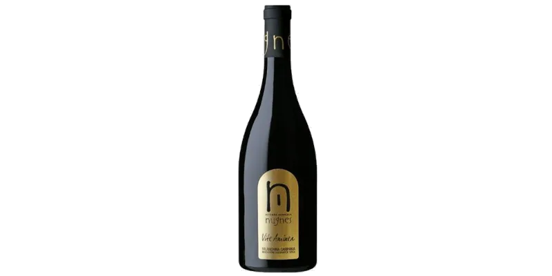 Studio image of Campania wine bottle shot u2013 Italian white wine u2013 buy Campania wine online in the UK