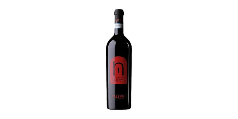 Studio image of Campania wine bottle shot u2013 Italian red wine u2013 buy Campania wine online in the UK u2013 premium Italian wine selection online