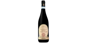 Studio image of Corvina Veneto wine bottle shot u2013 Italian red wine u2013 buy Corvina Veneto wine online in the UK u2013 shop Italian wine online