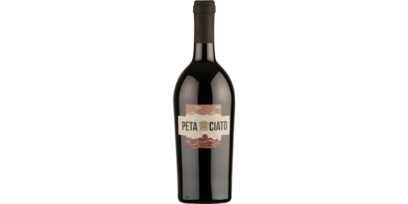 Studio image of Aglianico wine bottle shot u2013 Italian red wine u2013 buy Aglianico wine online in the UK u2013 order Italian wine with UK delivery