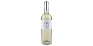 Studio image of Pinot Grigio wine bottle shot u2013 Italian white wine u2013 buy Pinot Grigio wine online in the UK