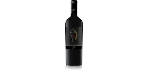 Studio image of Primitivo Puglia wine bottle shot u2013 Italian red wine u2013 buy Primitivo Puglia wine online in the UK u2013 order Italian wine with UK delivery