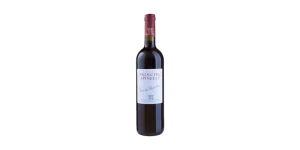Studio image of Gaglioppo wine bottle shot u2013 Italian red wine u2013 buy Gaglioppo wine online in the UK u2013 order Italian wine with UK delivery