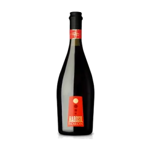 Studio image of Veneto wine bottle shot u2013 Italian sparkling wine u2013 buy Veneto wine online in the UK