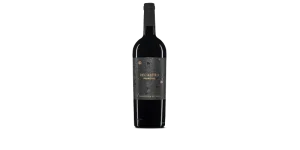 Studio image of Abruzzo wine bottle shot u2013 Italian red wine u2013 buy Abruzzo wine online in the UK u2013 order Italian wine with UK delivery
