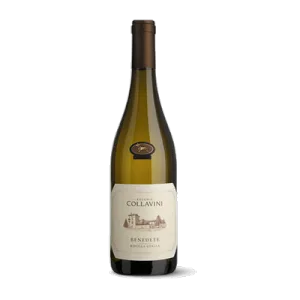 Studio image of Friuli-Venezia Giulia wine bottle shot u2013 Italian white wine u2013 buy Friuli-Venezia Giulia wine online in the UK