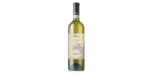 Studio image of Marche wine bottle shot u2013 Italian white wine u2013 buy Marche wine online in the UK