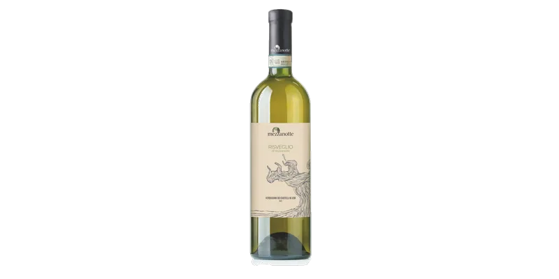 Studio image of Marche wine bottle shot u2013 Italian white wine u2013 buy Marche wine online in the UK