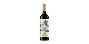 Studio image of Marche wine bottle shot u2013 Italian red wine u2013 buy Marche wine online in the UK