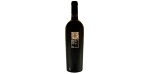 Studio image of Campania wine bottle shot u2013 Italian red wine u2013 buy Campania wine online in the UK