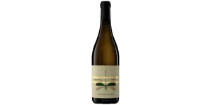 Studio image of Abruzzo wine bottle shot u2013 Italian white wine u2013 buy Abruzzo wine online in the UK