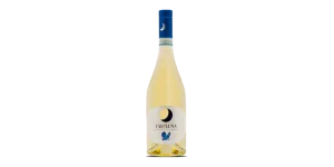 Studio image of Piemonte wine bottle shot u2013 Italian white wine u2013 buy Piemonte wine online in the UK
