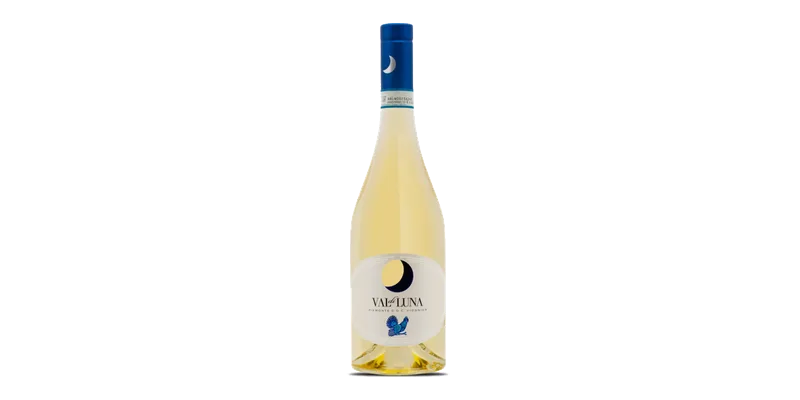 Studio image of Piemonte wine bottle shot u2013 Italian white wine u2013 buy Piemonte wine online in the UK