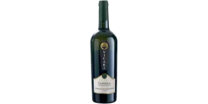 Studio image of Marche wine bottle shot u2013 Italian wine u2013 buy Marche wine online in the UK